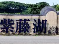 #紫籐湖-雲林縣斗六市
