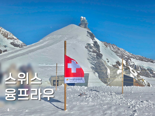 유럽의 지붕! 융프라우지역을 아시나요??