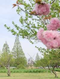 【千葉】異国情緒を楽しむならここ!