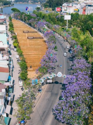 NHẬT KÝ ĐÀ LẠT QUA NHỮNG BỨC ẢNH