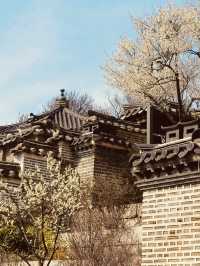 Planning Your Late April Visit Changdeokgung Palace