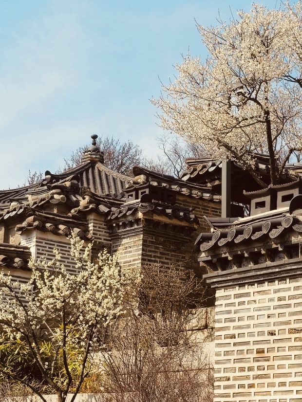Planning Your Late April Visit Changdeokgung Palace