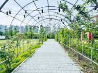Where Nature Nurtures