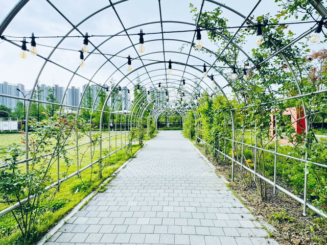 Where Nature Nurtures