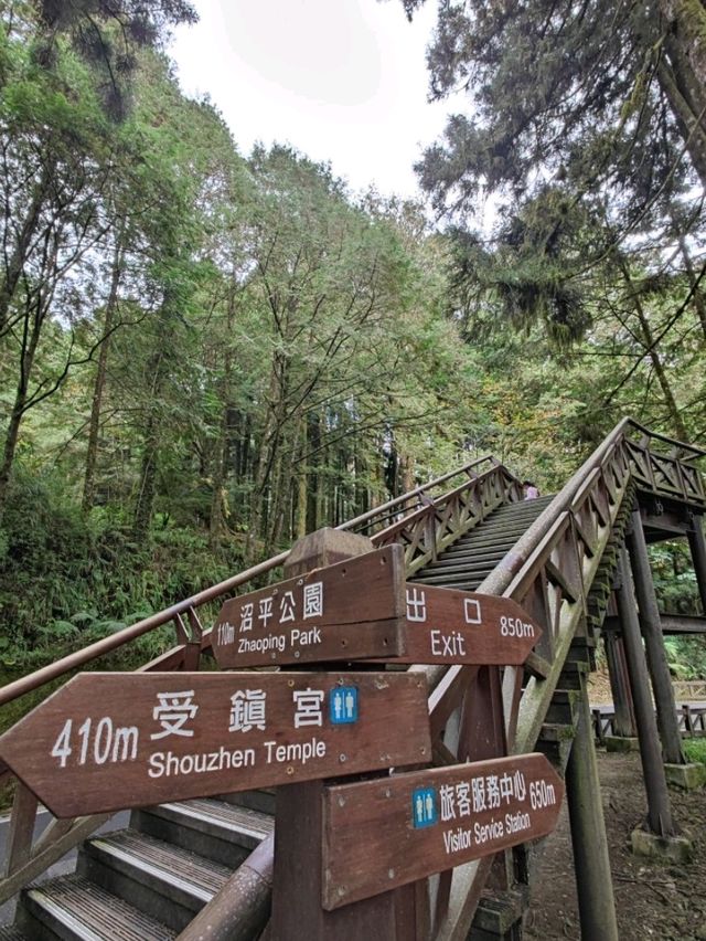 # 阿里山國家森林遊樂區-嘉義縣阿里山鄉