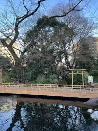 東京這樣玩才懂行：咖啡、神社、商店街一次走透透