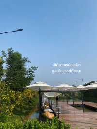💚 แนะนำคาเฟ่ร้านอาหาร ที่อัมพวาต้องแวะคาเฟ่สวย ✨