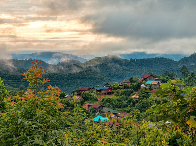 🌿 Luang Namtha Unplugged: Jungle Treks, Tribal Villages & the Best Sticky Rice in Laos! 🍚  