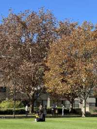 Pretty autumn in Parkville! 