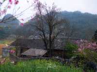 Hà Giang