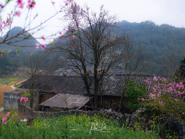 Hà Giang