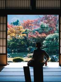 Illuminated Blossoms in a Historic Setting
