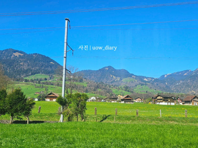 모든 풍경이 압도적인 스위스! 창가자리 필수 ✨⭐️🌷🌹