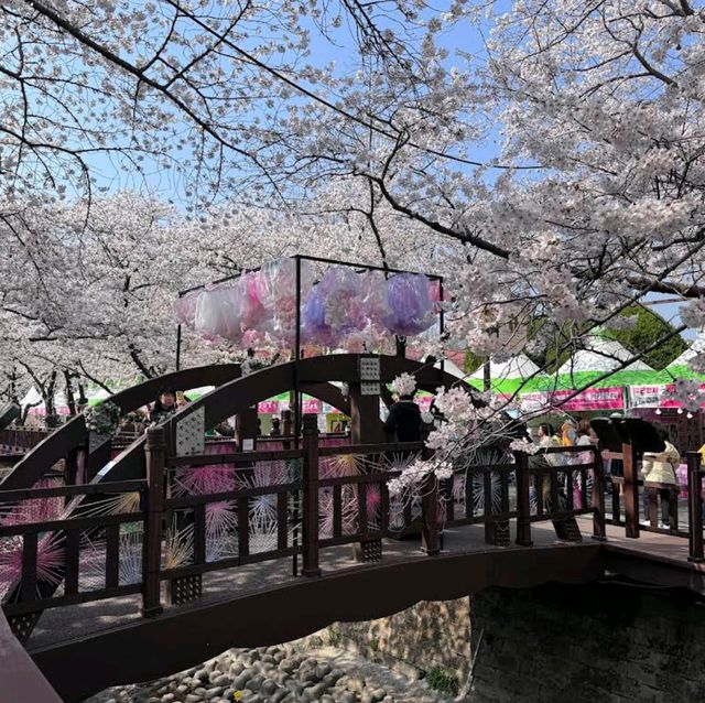 Jinhae Yeojwacheon Stream (Changwon)