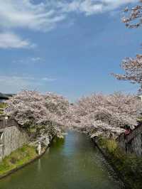 Quiet Beauty with Old Charm