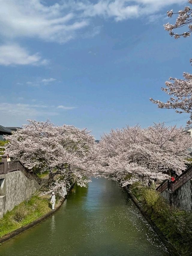 Quiet Beauty with Old Charm