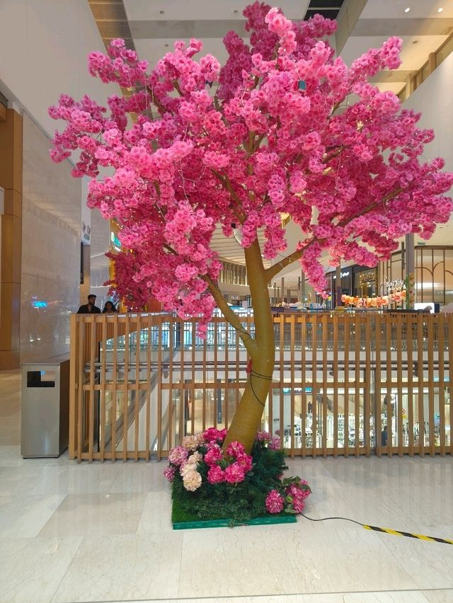 Sakura, Snacks & Souvenirs – My Tokyo Street Experience