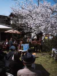 🌸 Spring Exchange | An Afternoon in Wakayama City
