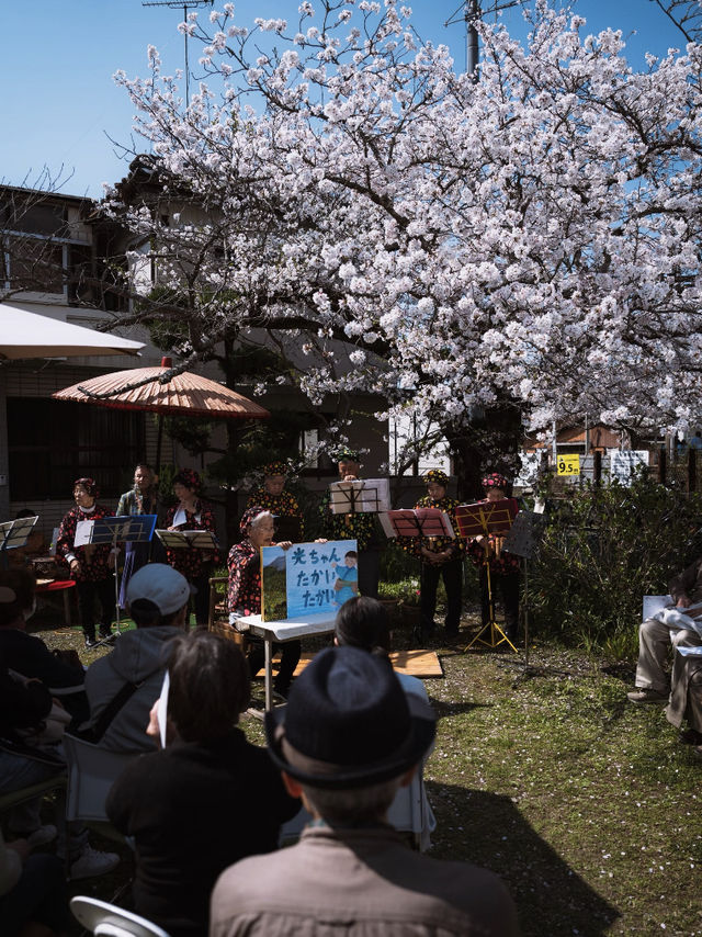 🌸 Spring Exchange | An Afternoon in Wakayama City