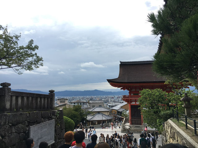 🏯 清水寺｜站上木造舞台眺望千年古都風光 