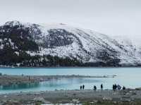 紐西蘭南島｜一夜大雪後的 Tekapo，比想像中還浪漫