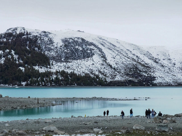 紐西蘭南島｜一夜大雪後的 Tekapo，比想像中還浪漫
