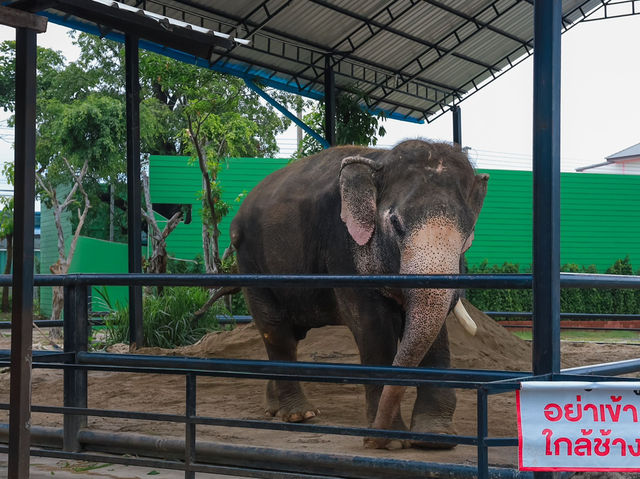 วัดท่าไม้ – สัมผัสพลังศรัทธาและความสงบใจ
