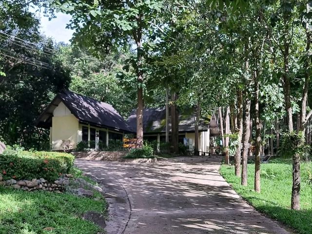 อุทยานแห่งชาติดอยเวียงผา