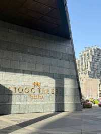 จุดถ่ายรูปสุดว้าว Tian An 1000 Trees เซี่ยงไฮ้