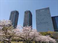 浜離宮庭園