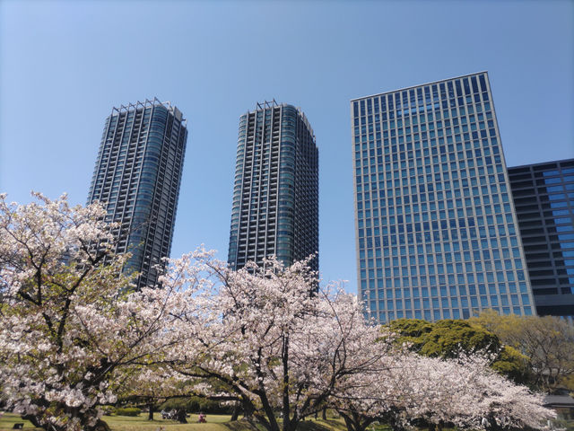 浜離宮庭園