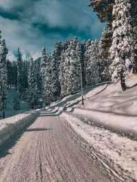 Srinagar – A Soulful Symphony of Lakes, Mountains, and Culture