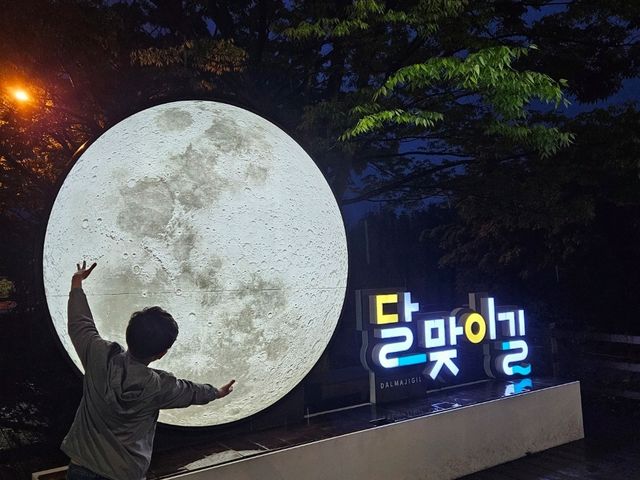 해운대요트투어, 창비부산