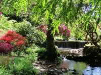 Exploring the Enchanted Beauty of Bodnant Garden, NT – North Wales