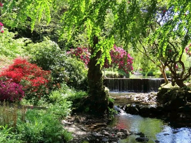 Exploring the Enchanted Beauty of Bodnant Garden, NT – North Wales