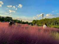 Title: Haneul Park: Seoul’s Heavenly Hilltop with a View