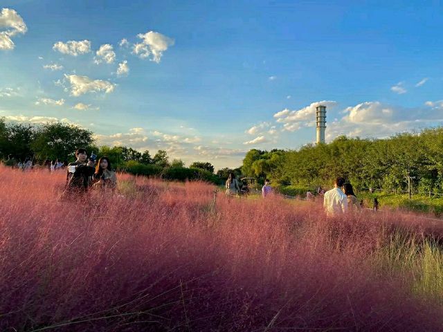 Title: Haneul Park: Seoul’s Heavenly Hilltop with a View
