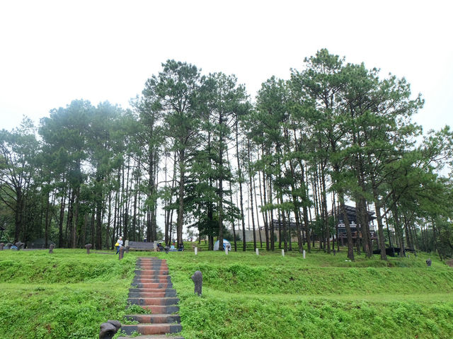 จัดเต็มที่เที่ยวบน•ดอยอ่างขาง•🌳🌧️