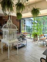 ร้านอเมซอนลับ ๆ – มุมเงียบที่นักเดินทางไม่ควรพลาด