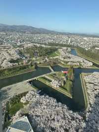 A Vacation in Hokkaido - Where Spring is as charming as Winter 