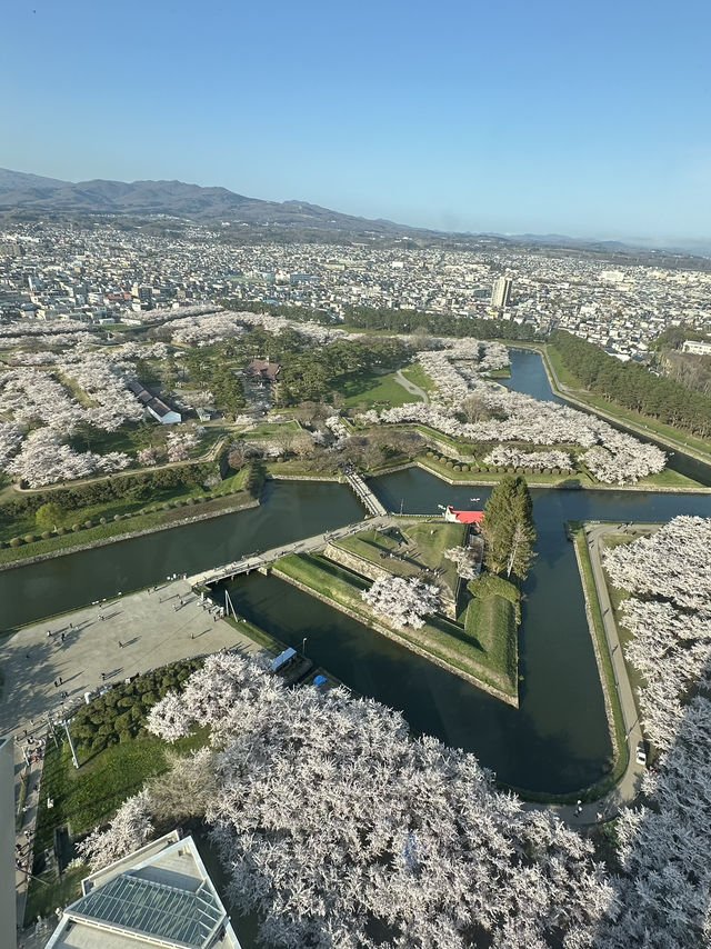 A Vacation in Hokkaido - Where Spring is as charming as Winter 