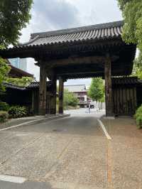 【東京都芝公園🇯🇵増上寺】徳川家の菩提寺/日本有数の寺院☺️