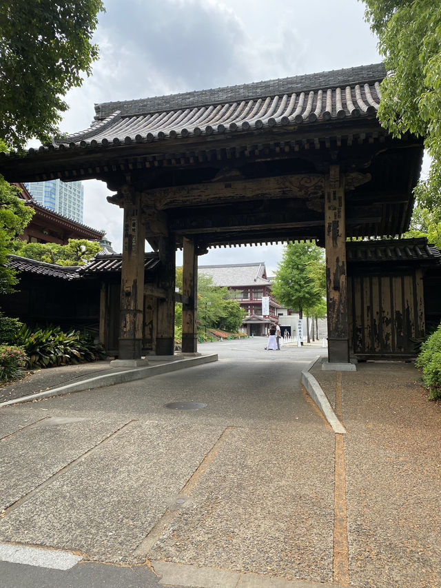 【東京都芝公園🇯🇵増上寺】徳川家の菩提寺/日本有数の寺院☺️