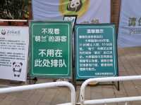  My Beijing Zoo Panda Experience 🐼