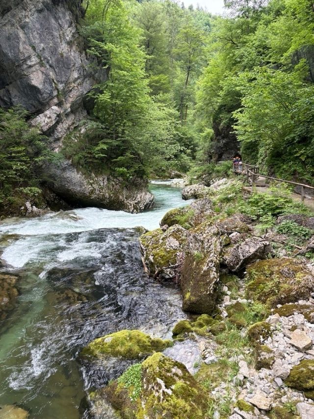Vintgar Gorge: Slovenia’s Hidden Slice of Wilderness
