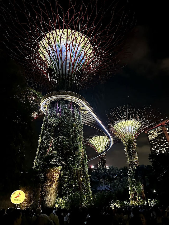 รีวิวเที่ยวสิงคโปร์ 4 วัน 3 คืน🇸🇬
