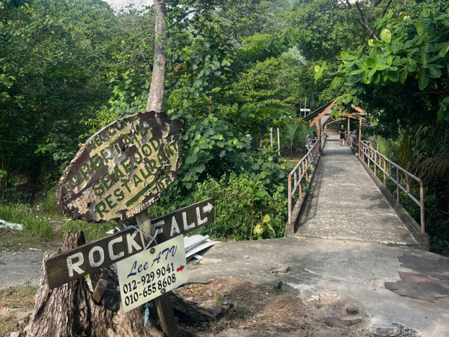 Tioman Island’s Legendary 300-Year-Old Banyan Tree — The Mother Willow Tree 🌳✨