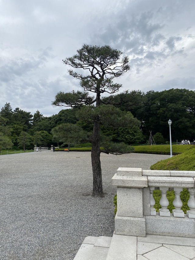 【東京都🇯🇵 迎賓館赤坂離宮】華やかな外交活動の場☺️国宝にもなってます。