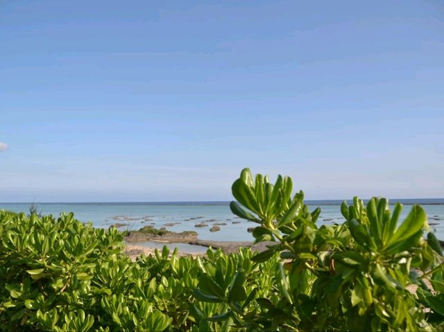 これぞ絶景！エメラルドブルーのシンリ浜🌊✨