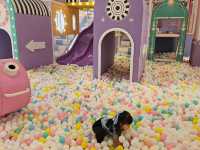 A Mini Disneyland Stay at Garden Rezen Hotel Shanghai – Perfect for Families!
